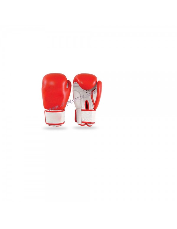 Boxing & MMA Gloves