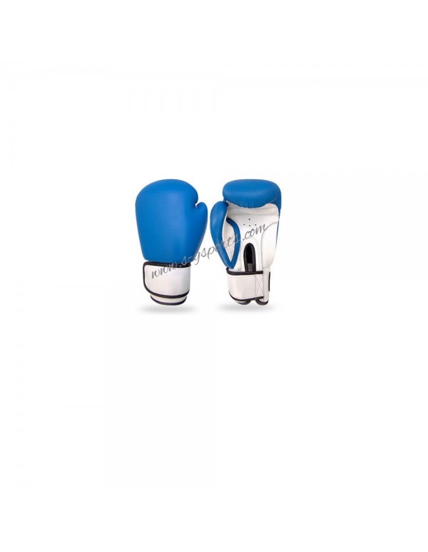 Boxing & MMA Gloves